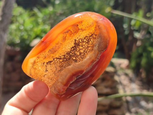 Polished Carnelian Agate Gemstone Standing Free Forms x 12 From Madagascar - Toprock Gemstones and Minerals 