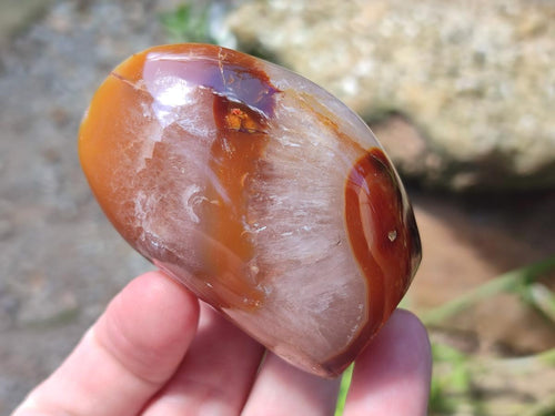Polished Carnelian Agate Gemstone Standing Free Forms x 12 From Madagascar - Toprock Gemstones and Minerals 
