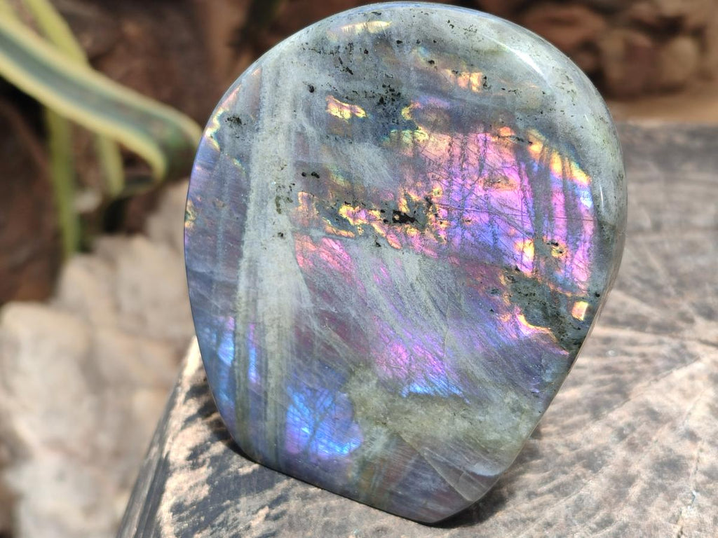 Polished Rare Purple Sunset Flash Labradorite Standing Free Forms x 2 From Madagascar - Toprock Gemstones and Minerals 