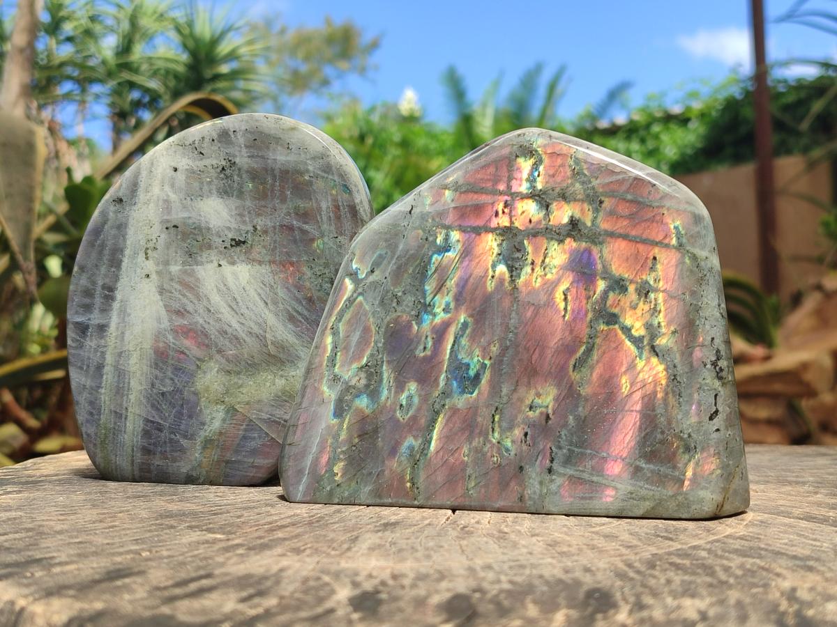 Polished Rare Purple Sunset Flash Labradorite Standing Free Forms x 2 From Madagascar - Toprock Gemstones and Minerals 