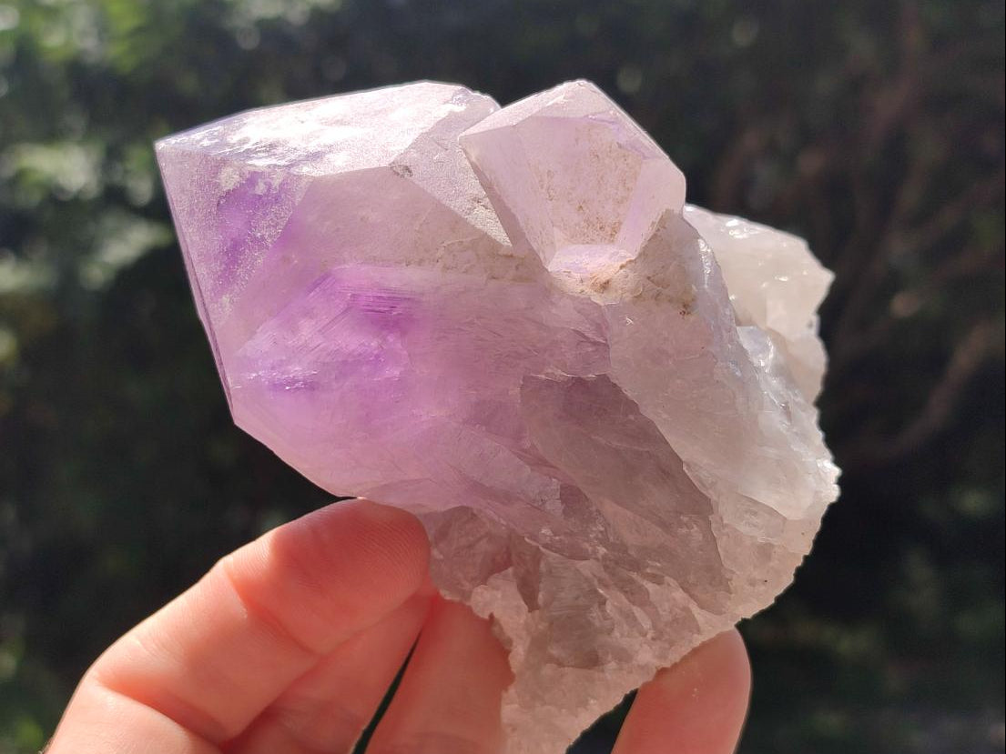 Natural Jacaranda Amethyst Crystals x 6 From Mumbwa, Zambia - Toprock Gemstones and Minerals 