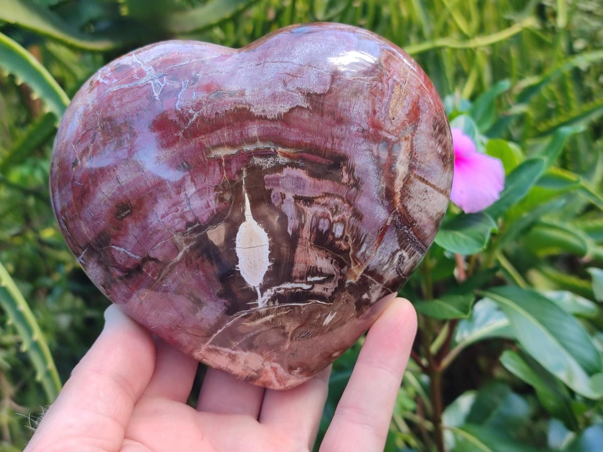 Polished Red Podocarpus Petrified Wood Hearts x 2 From Mahajanga, Madagascar - Toprock Gemstones and Minerals 