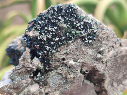 Natural Libethenite Crystals on Dolomite Matrix Specimens x 2 From Shituru, Congo - Toprock Gemstones and Minerals 