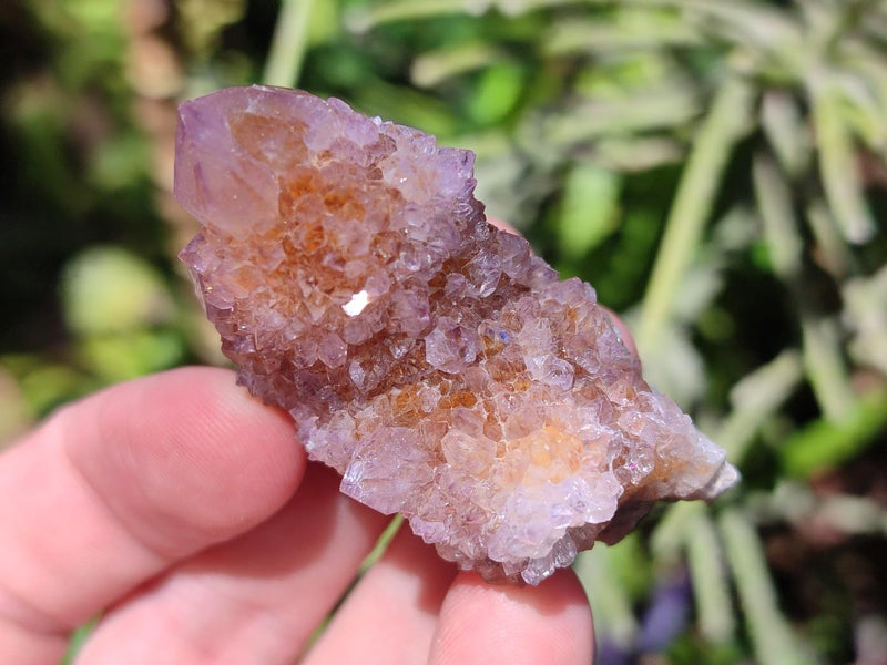 Natural Amethyst Spirit Clusters x 24 From Boekenhouthoek, South Africa - Toprock Gemstones and Minerals 