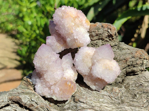 Natural Amethyst Spirit Clusters x 24 From Boekenhouthoek, South Africa - Toprock Gemstones and Minerals 