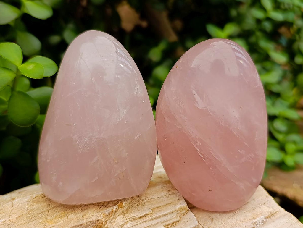 Frreforms Polished Gemmy Rose Quartz Standing Free Forms x 5 From Madagascar ...