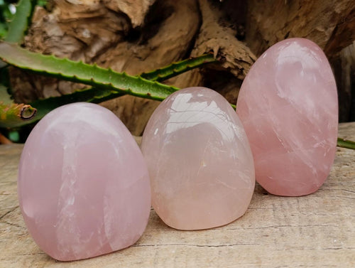 Polished Gemmy Rose Quartz Standing Free Forms x 5 From Madagascar - Toprock Gemstones and Minerals 