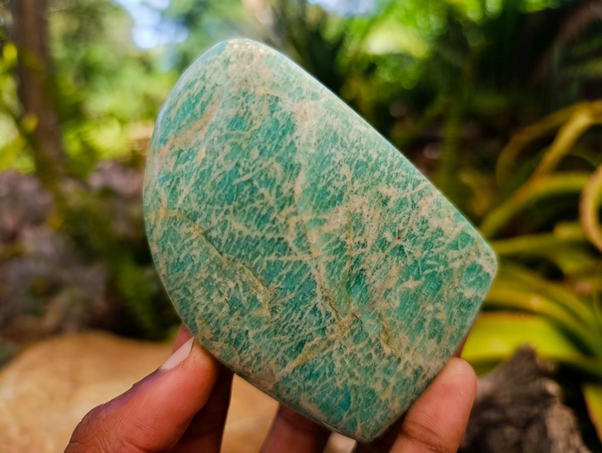 Polished Mixed Amazonite Free Forms x 12 From Zimbabwe - Toprock Gemstones and Minerals 