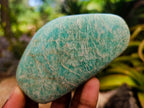 Polished Mixed Amazonite Free Forms x 12 From Zimbabwe - Toprock Gemstones and Minerals 