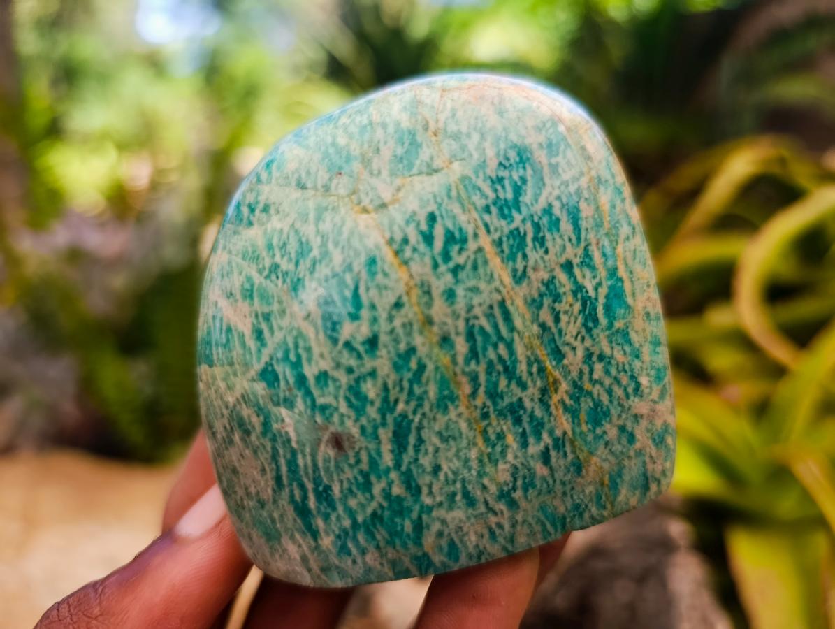 Polished Mixed Amazonite Free Forms x 12 From Zimbabwe - Toprock Gemstones and Minerals 