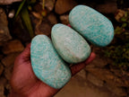 Polished Mixed Amazonite Free Forms x 12 From Zimbabwe - Toprock Gemstones and Minerals 