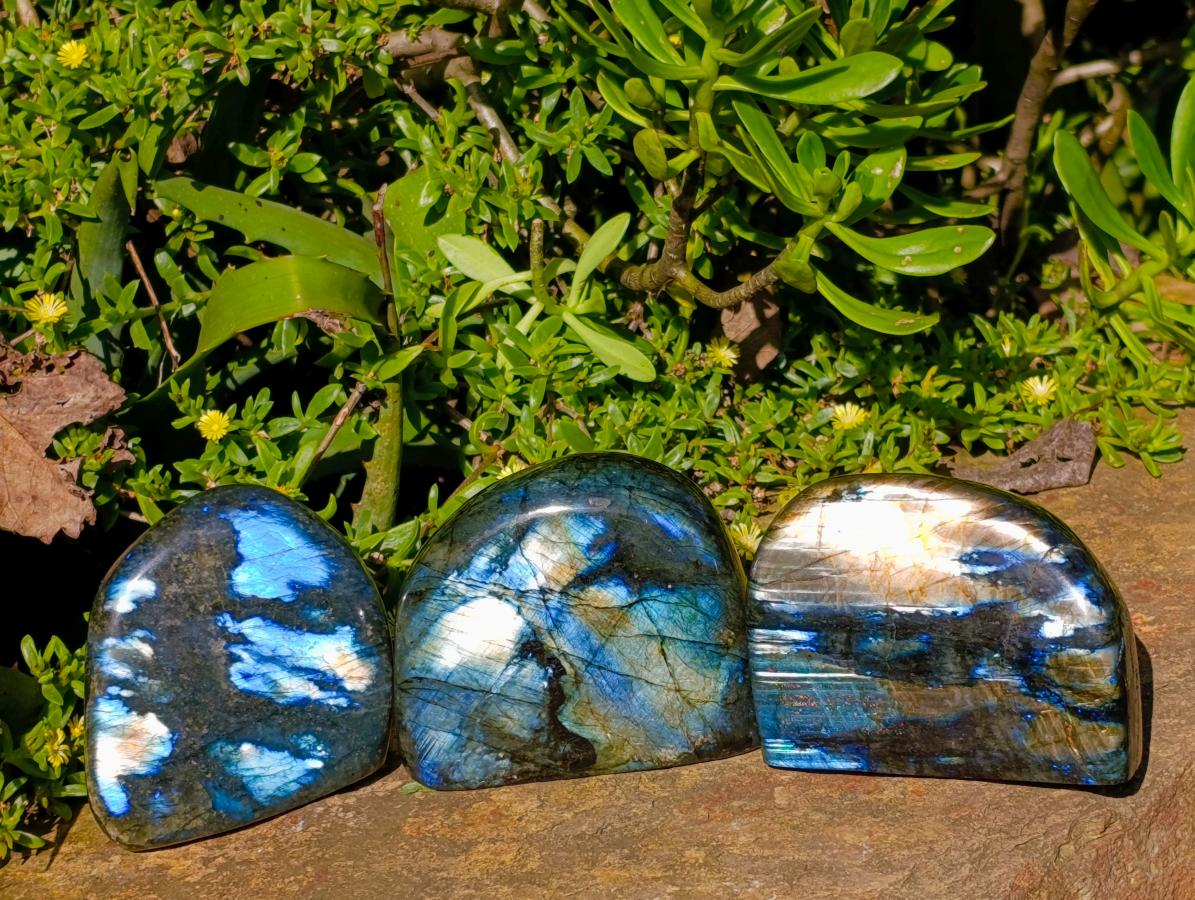 Polished Rare Purple Sunset Flash Labradorite Standing Free Forms x 3 From Madagascar - Toprock Gemstones and Minerals 