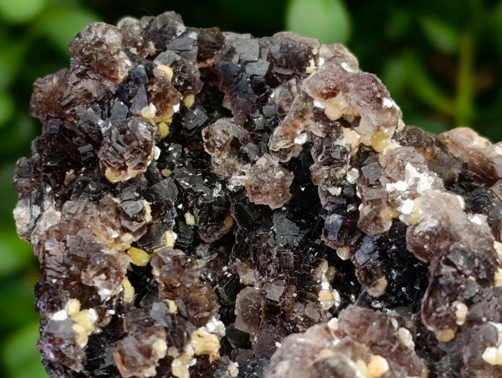 Natural Smokey Fluorite with Yellow Muscovite Mica Specimens x 2 From Erongo, Namibia - Toprock Gemstones and Minerals 