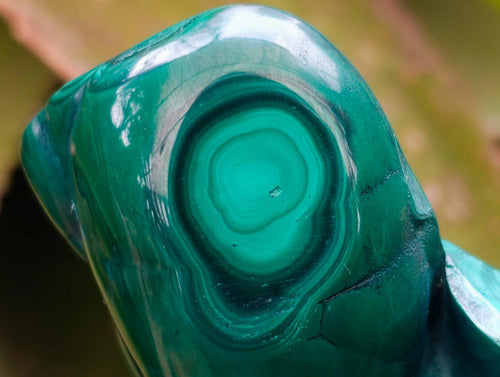Polished Flower Banded Malachite Free Forms x 6 From Congo - Toprock Gemstones and Minerals 