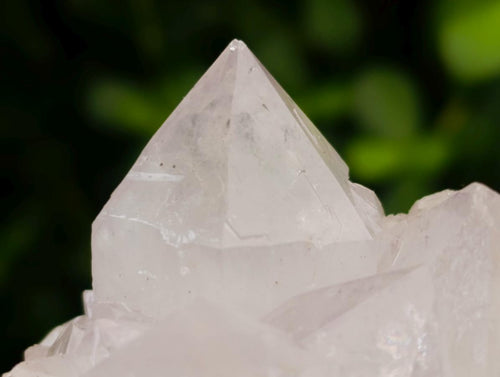 Natural White Spirit Quartz Clusters x 12 From Boekenhouthoek, South Africa - Toprock Gemstones and Minerals 