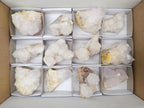 Natural White Spirit Quartz Clusters x 12 From Boekenhouthoek, South Africa - Toprock Gemstones and Minerals 