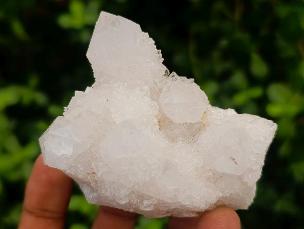 Natural White Spirit Quartz Clusters x 12 From Boekenhouthoek, South Africa - Toprock Gemstones and Minerals 