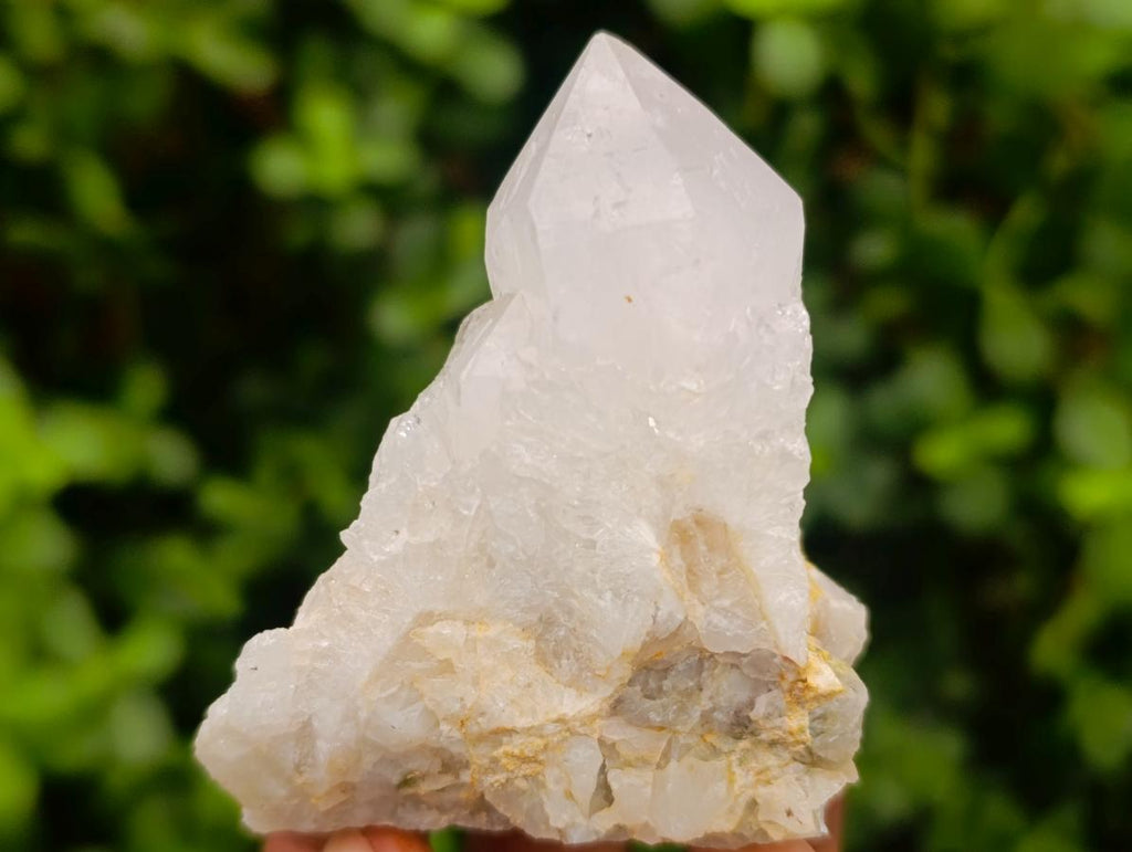 Natural White Spirit Quartz Clusters x 12 From Boekenhouthoek, South Africa - Toprock Gemstones and Minerals 