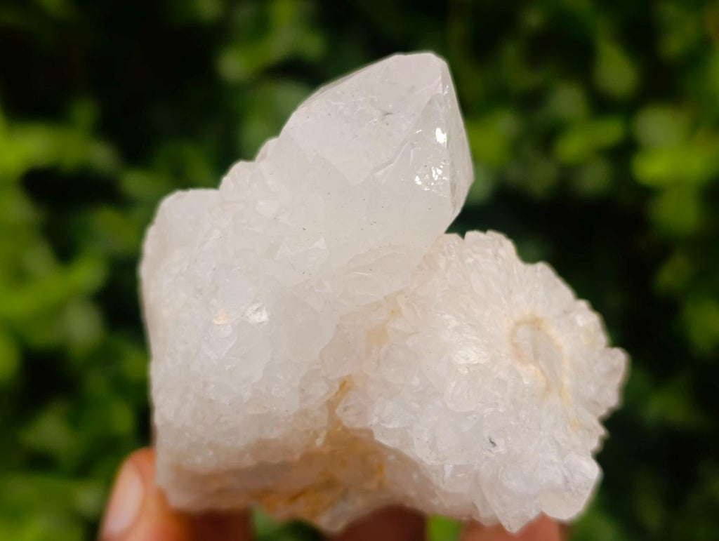 Natural White Spirit Quartz Clusters x 12 From Boekenhouthoek, South Africa - Toprock Gemstones and Minerals 