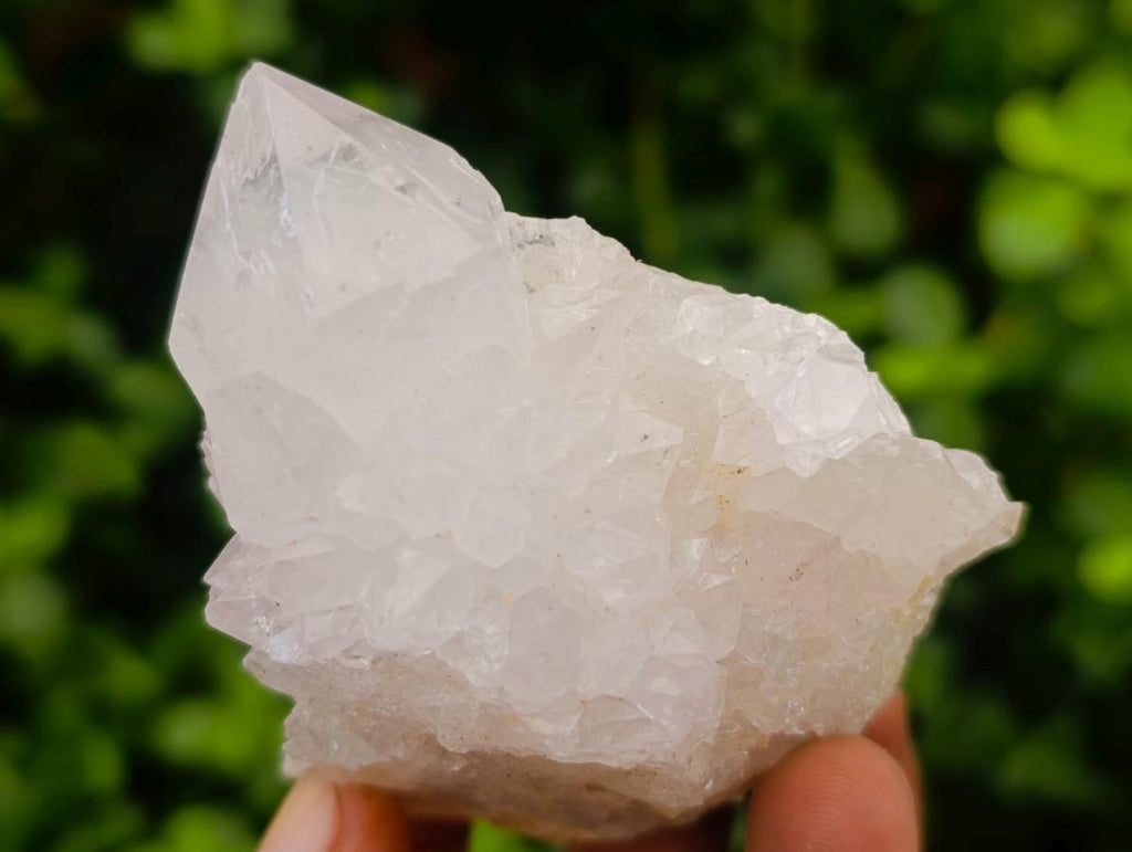 Natural White Spirit Quartz Clusters x 12 From Boekenhouthoek, South Africa - Toprock Gemstones and Minerals 