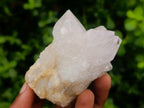 Natural White Spirit Quartz Clusters x 12 From Boekenhouthoek, South Africa - Toprock Gemstones and Minerals 
