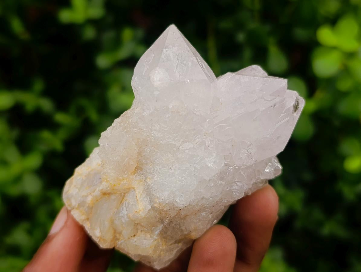 Natural White Spirit Quartz Clusters x 12 From Boekenhouthoek, South Africa - Toprock Gemstones and Minerals 