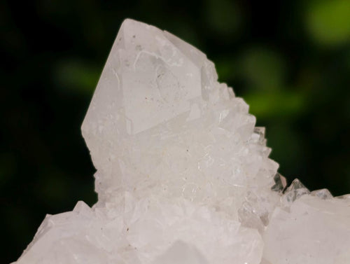 Natural White Spirit Quartz Clusters x 12 From Boekenhouthoek, South Africa - Toprock Gemstones and Minerals 