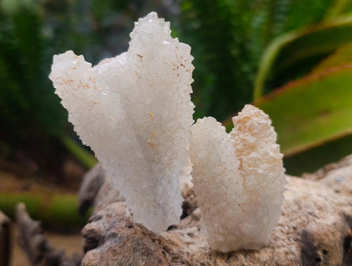 Natural Drusy Snow Finger Crystals x 35 From Albert's Mountain, Lesotho - Toprock Gemstones and Minerals 