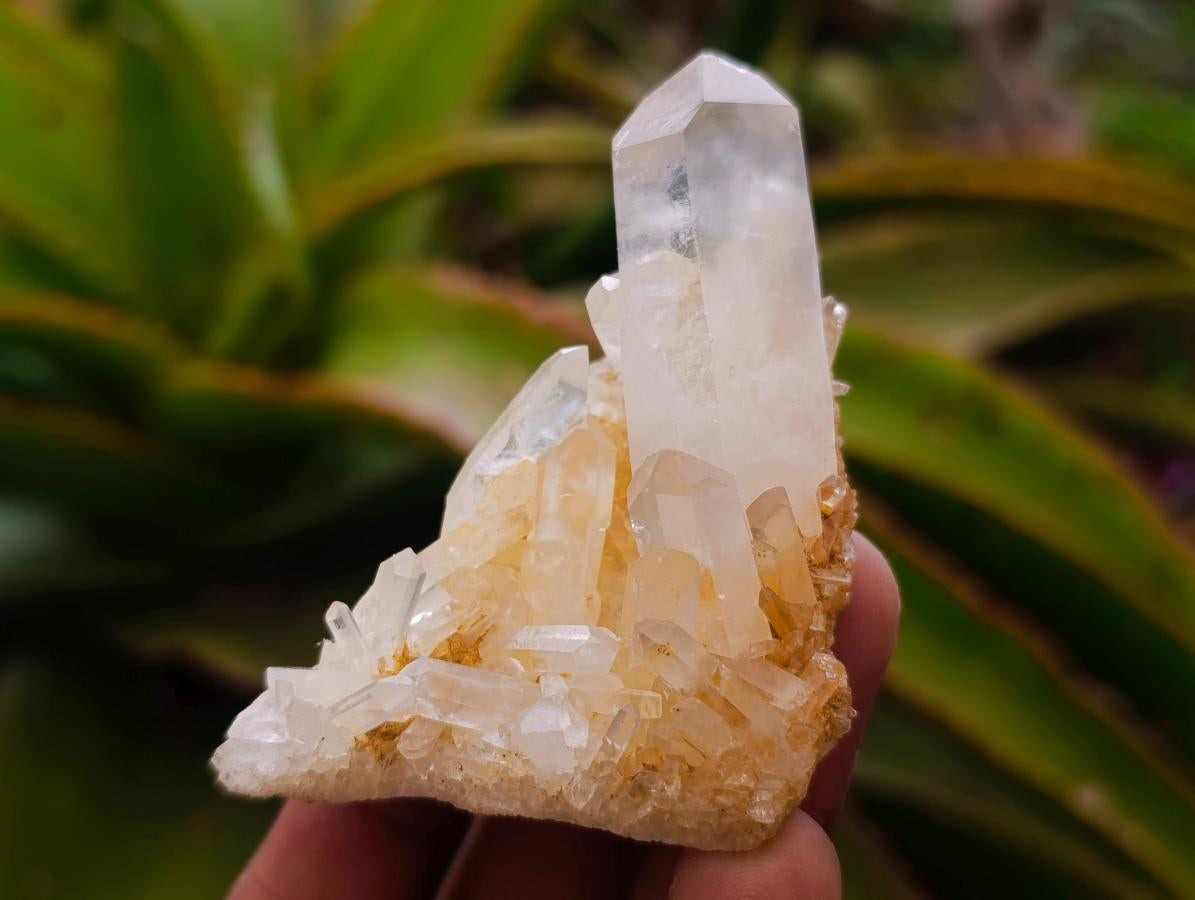 Natural Mixed Quartz Crystal Clusters x 35 From Madagascar - Toprock Gemstones and Minerals 