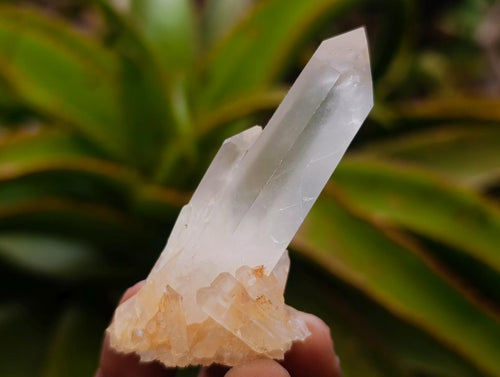 Natural Mixed Quartz Crystal Clusters x 35 From Madagascar - Toprock Gemstones and Minerals 