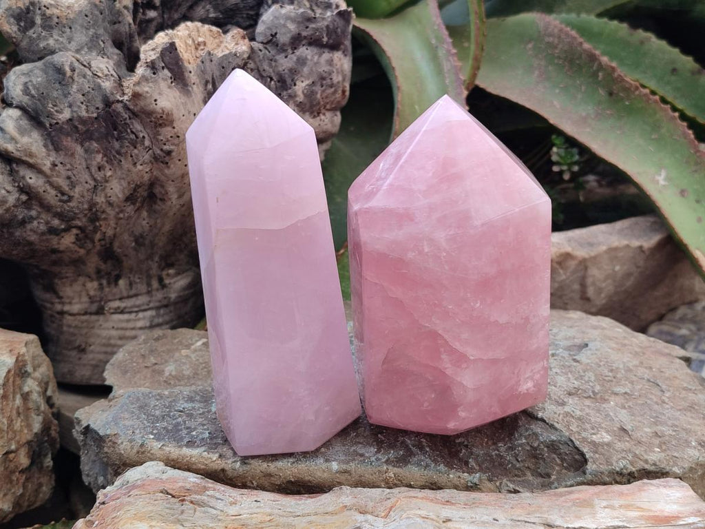 Polished Large Gemmy Rose Quartz Crystals x 2 From Madagascar - Toprock Gemstones and Minerals 