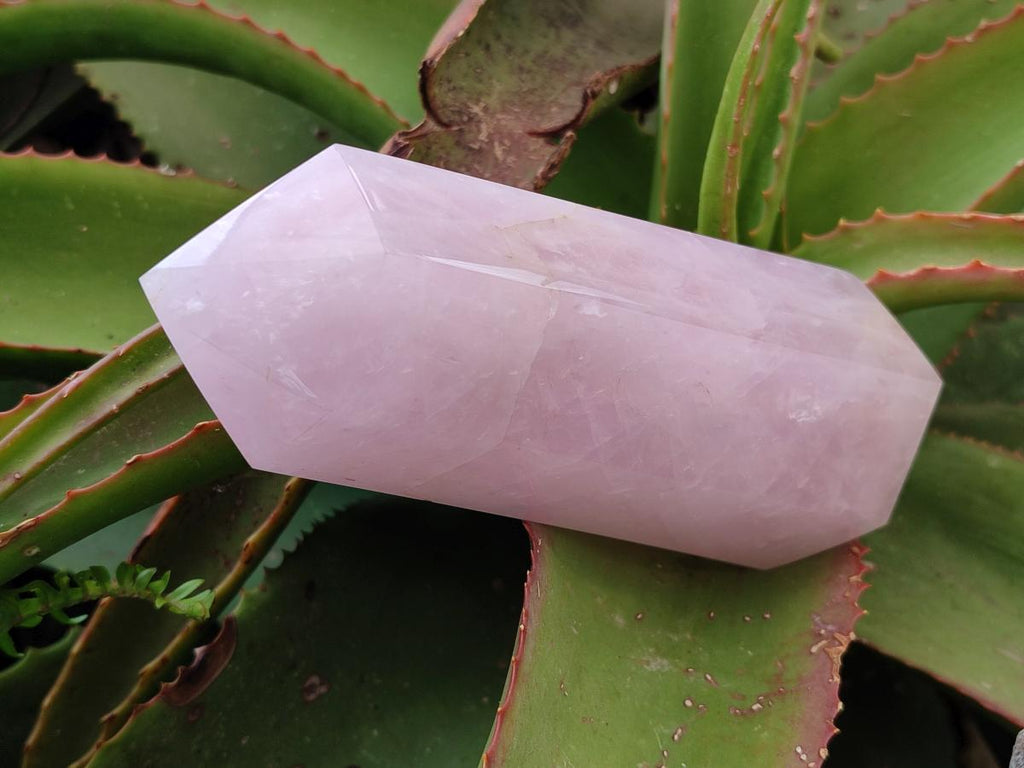 Polished Large Gemmy Rose Quartz Crystals x 2 From Madagascar - Toprock Gemstones and Minerals 