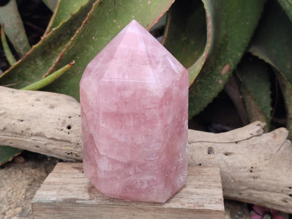 Polished Large Gemmy Rose Quartz Crystals x 2 From Madagascar - Toprock Gemstones and Minerals 