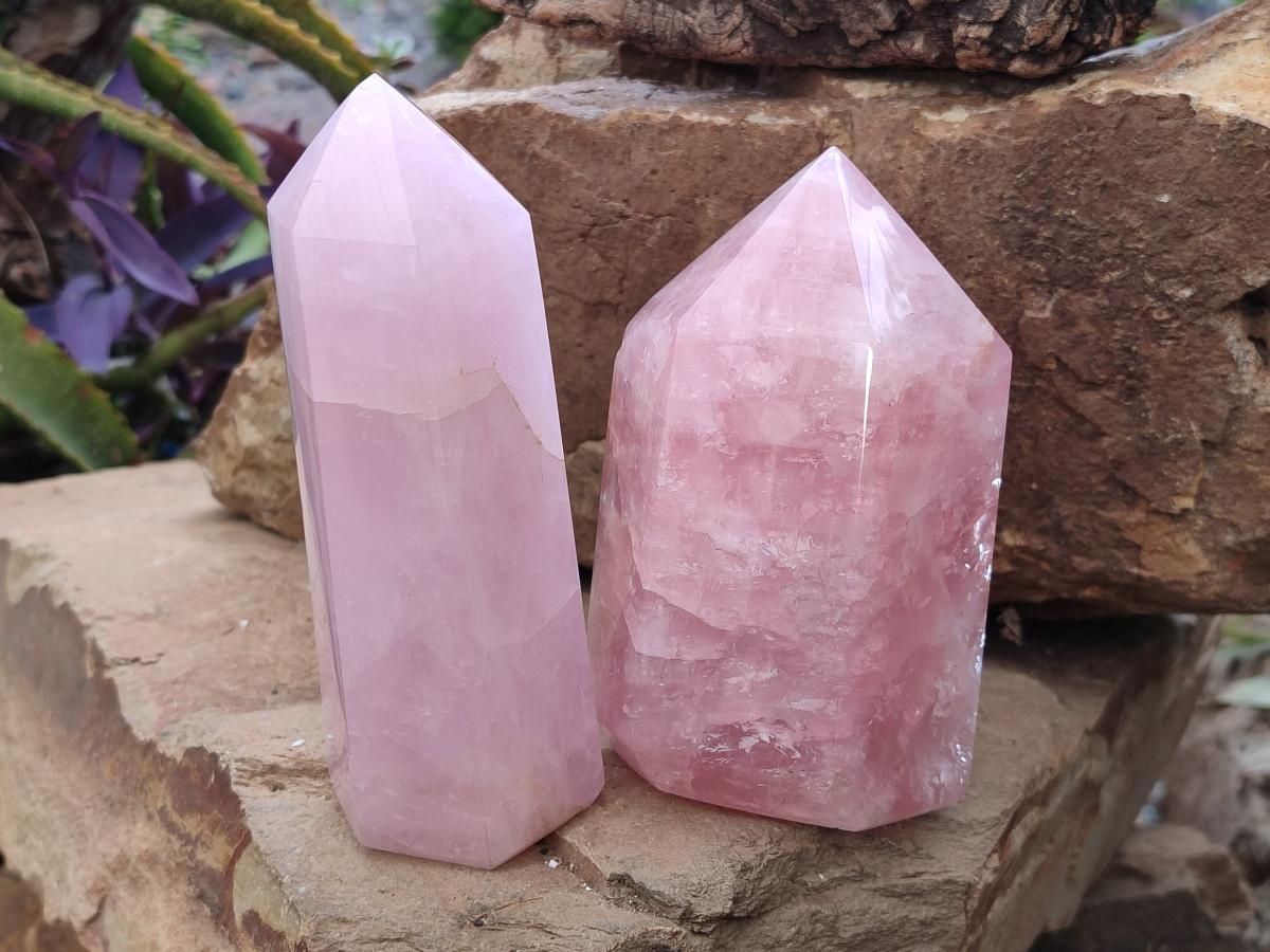 Polished Large Gemmy Rose Quartz Crystals x 2 From Madagascar - Toprock Gemstones and Minerals 
