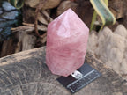 Polished Large Gemmy Rose Quartz Crystals x 2 From Madagascar - Toprock Gemstones and Minerals 