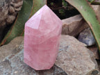 Polished Large Gemmy Rose Quartz Crystals x 2 From Madagascar - Toprock Gemstones and Minerals 