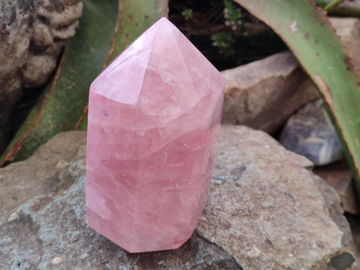 Polished Large Gemmy Rose Quartz Crystals x 2 From Madagascar - Toprock Gemstones and Minerals 