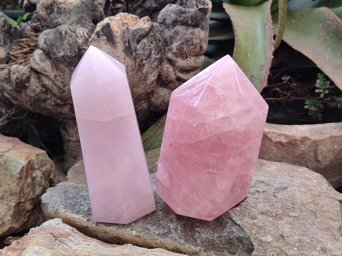 Polished Large Gemmy Rose Quartz Crystals x 2 From Madagascar - Toprock Gemstones and Minerals 