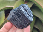 Natural Schorl Black Tourmaline with Smokey Quartz and Hyalite Opal x 12 From Erongo, Namibia - Toprock Gemstones and Minerals 