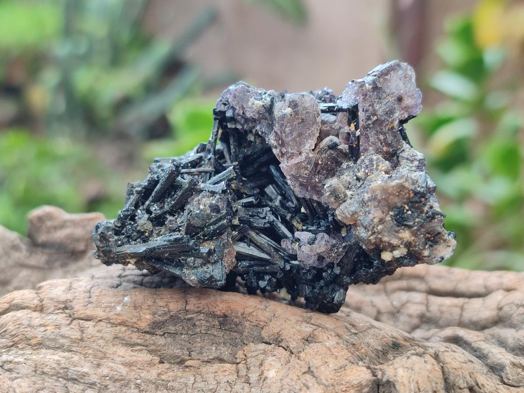 Natural Schorl Black Tourmaline with Smokey Quartz and Hyalite Opal x 12 From Erongo, Namibia - Toprock Gemstones and Minerals 