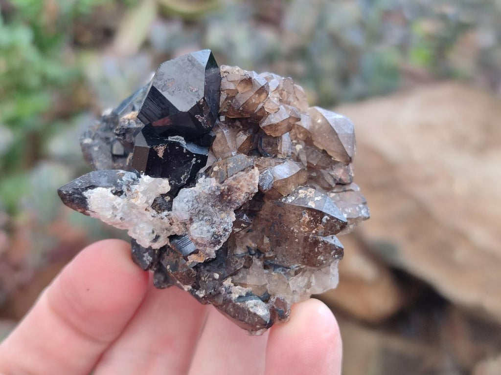 Natural Schorl Black Tourmaline with Smokey Quartz and Hyalite Opal x 12 From Erongo, Namibia - Toprock Gemstones and Minerals 