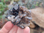 Natural Schorl Black Tourmaline with Smokey Quartz and Hyalite Opal x 12 From Erongo, Namibia - Toprock Gemstones and Minerals 