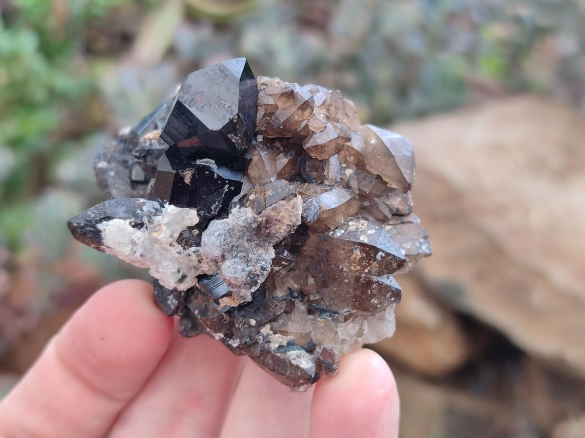 Natural Schorl Black Tourmaline with Smokey Quartz and Hyalite Opal x 12 From Erongo, Namibia - Toprock Gemstones and Minerals 