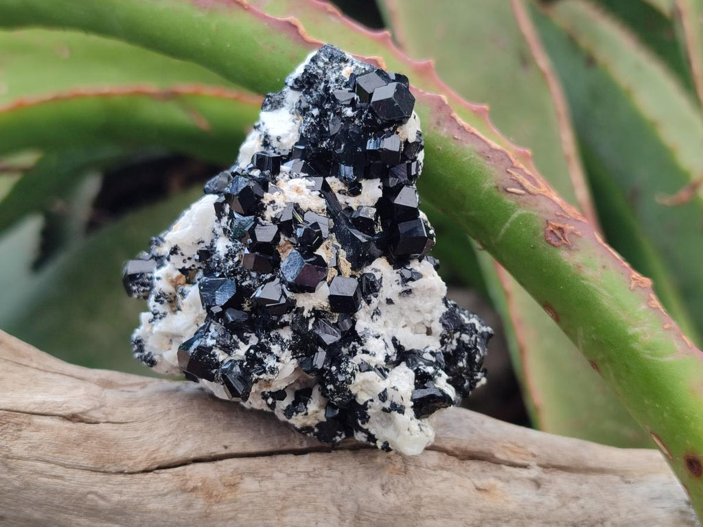 Natural Schorl Black Tourmaline with Smokey Quartz and Hyalite Opal x 12 From Erongo, Namibia - Toprock Gemstones and Minerals 