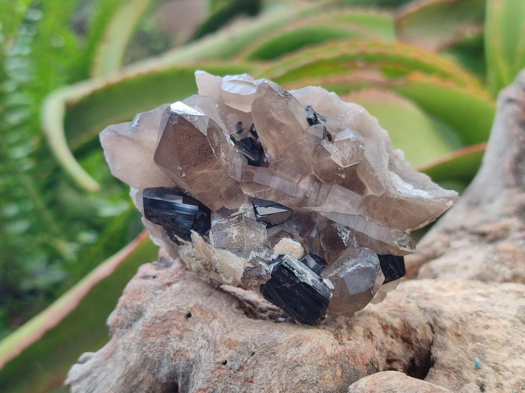 Natural Schorl Black Tourmaline with Smokey Quartz and Hyalite Opal x 12 From Erongo, Namibia - Toprock Gemstones and Minerals 