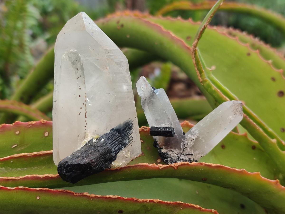 Natural Schorl Black Tourmaline with Smokey Quartz and Hyalite Opal x 12 From Erongo, Namibia - Toprock Gemstones and Minerals 
