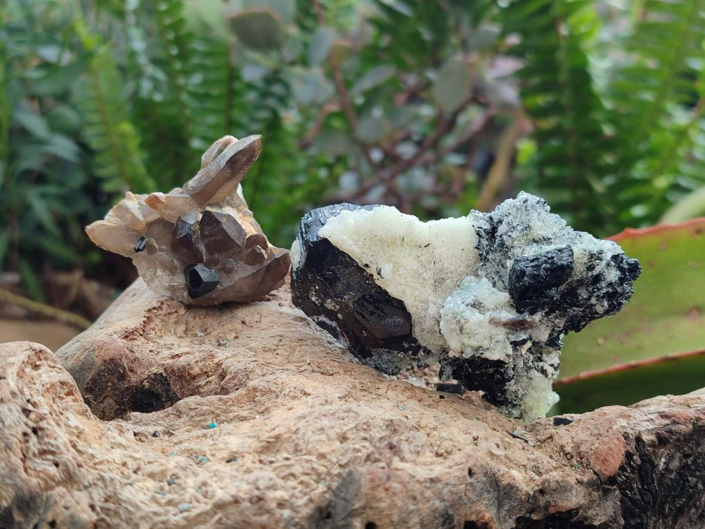 Natural Schorl Black Tourmaline with Smokey Quartz and Hyalite Opal x 12 From Erongo, Namibia - Toprock Gemstones and Minerals 