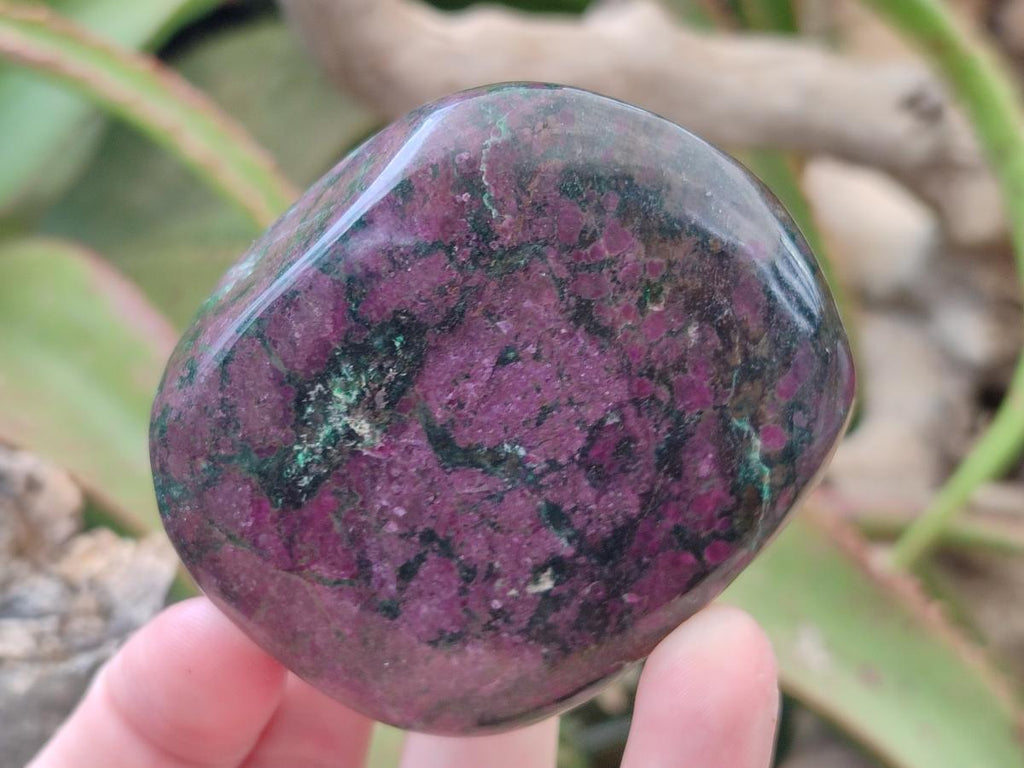 Polished Ruby Corundum In Chrome Verdite Free Forms x 3 From Mutoko, Zimbabwe - Toprock Gemstones and Minerals 