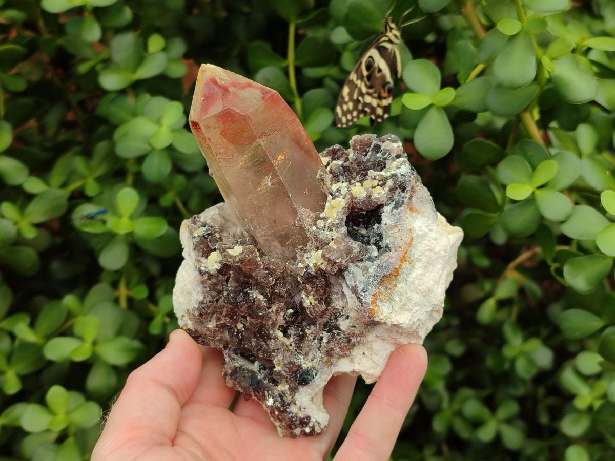Natural Smokey Quartz Clusters with Associated Minerals x 2 From Erongo, Namibia - Toprock Gemstones and Minerals 