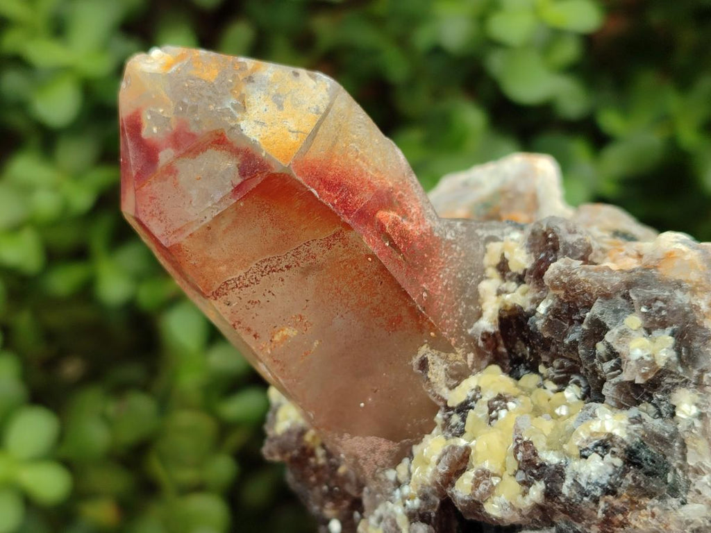 Natural Smokey Quartz Clusters with Associated Minerals x 2 From Erongo, Namibia - Toprock Gemstones and Minerals 